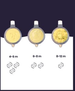 Babymoov Nutribaby+ XL 6-in-1 Baby Food Processor - Blue & Rose Gold -Baby Product babymoov babymoov nutribaby xl 6 in 1 baby food processor blue rose gold 32882926813344