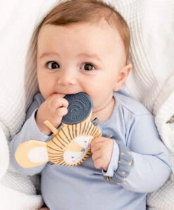 Cheeky Chompers Bertie The Lion Sensory Teething Toy