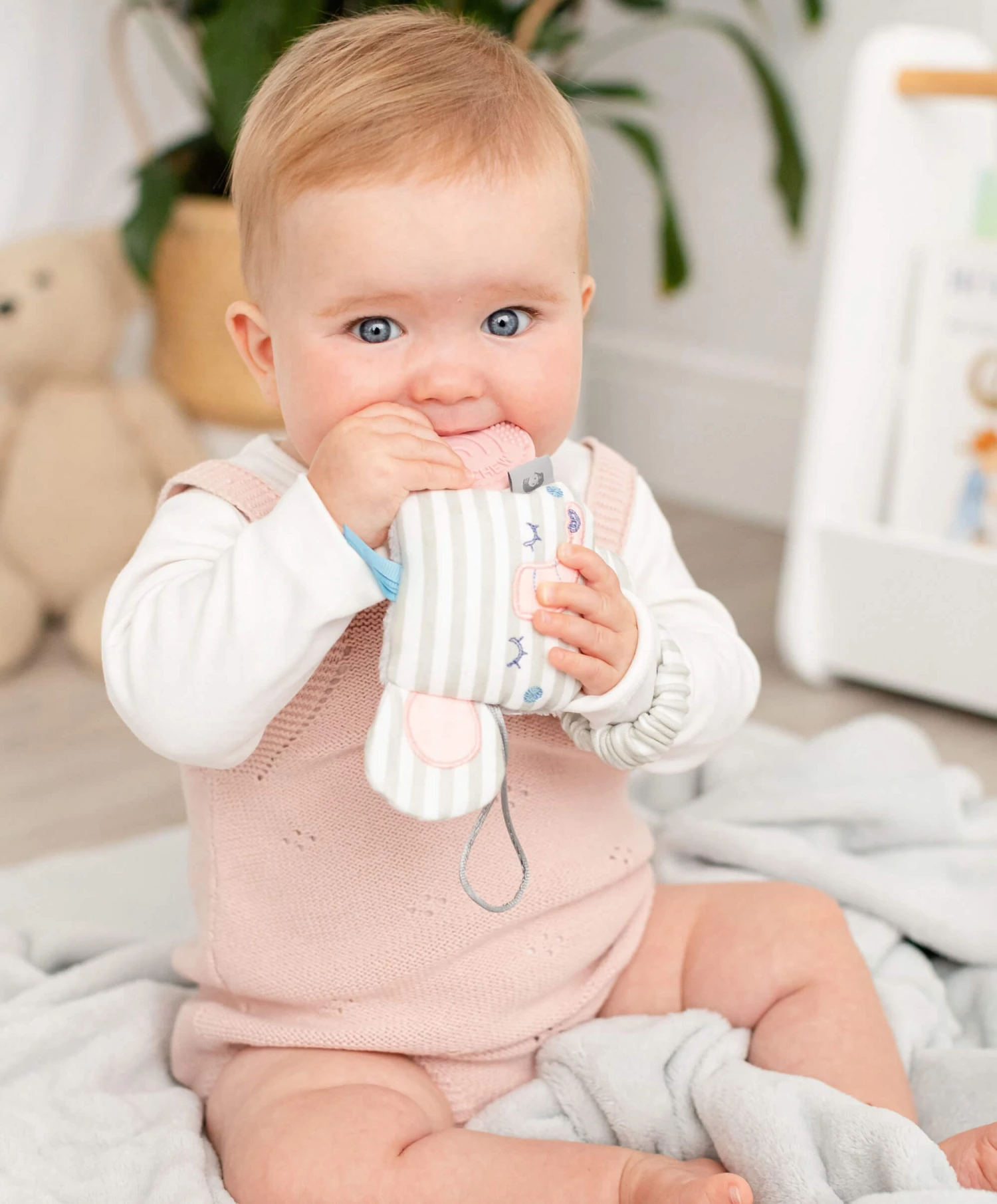 Cheeky Chompers Darcy The Elephant Sensory Teething Toy 3 Cheeky Chompers Darcy The Elephant Sensory Teething Toy