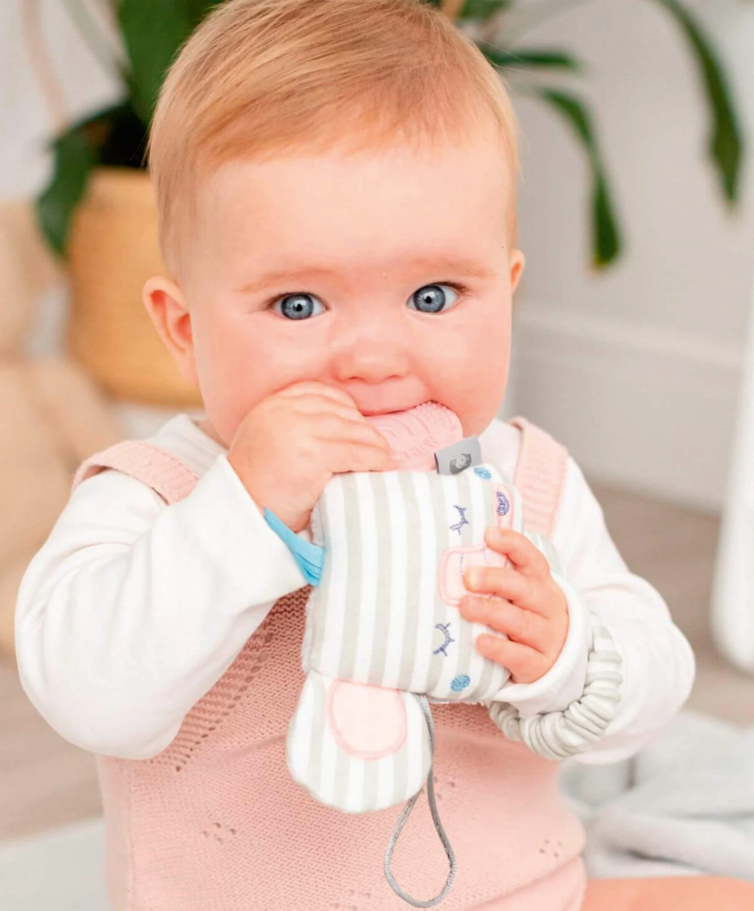 Cheeky Chompers Darcy The Elephant Sensory Teething Toy 8 Cheeky Chompers Darcy The Elephant Sensory Teething Toy - Image 6