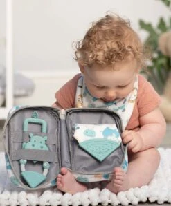 Cheeky Chompers Teething Survival Kit Inc. Teething Bib & Toothbrush