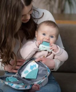 Cheeky Chompers Teething Survival Kit Inc. Teething Bib & Toothbrush -Baby Product cheeky chompers teethers cheeky chompers teething survival kit inc teething bib toothbrush 32477326082208