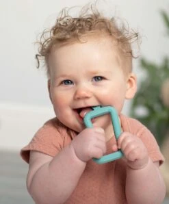 Cheeky Chompers Teething Survival Kit Inc. Teething Bib & Toothbrush -Baby Product cheeky chompers teethers cheeky chompers teething survival kit inc teething bib toothbrush 32477326114976