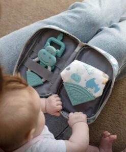 Cheeky Chompers Teething Survival Kit Inc. Teething Bib & Toothbrush -Baby Product cheeky chompers teethers cheeky chompers teething survival kit inc teething bib toothbrush 32477326147744