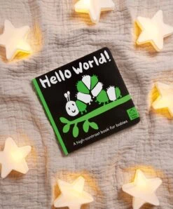 Hello World! Baby Book