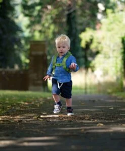 LittleLife Toddler Backpack - New Turtle -Baby Product littlelife childrens bags littlelife toddler backpack new turtle 28177284268192