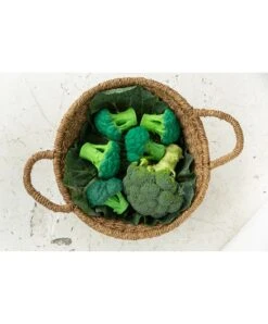 Oli & Carol - Brucy The Brocolli Teether -Baby Product oli carol oil carol brucy the brocolli teether 33567853740192