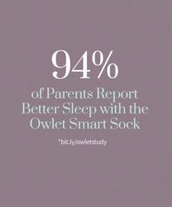 Owlet Baby Monitor Duo: Smart Sock 3 And Cam 2 - Mint -Baby Product owlet baby monitors owlet monitor duo smart sock 3 cam 2 mint 32875794038944