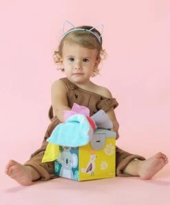 Taf Toys - Koala Tissue Wonder Box